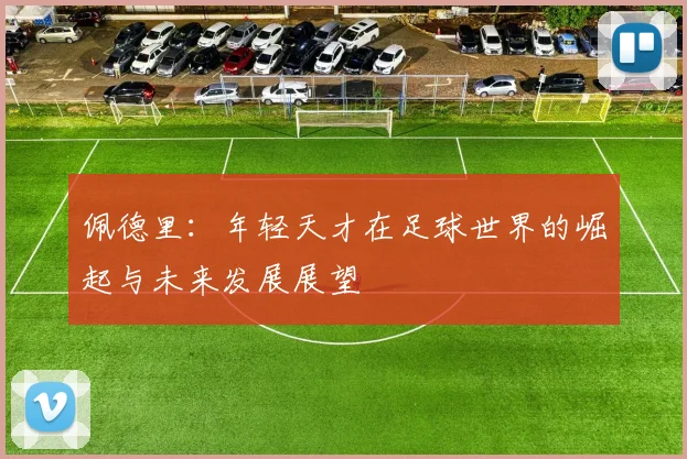 佩德里：年轻天才在足球世界的崛起与未来发展展望