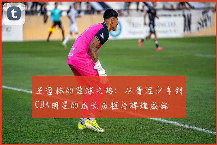 王哲林的篮球之路：从青涩少年到CBA明星的成长历程与辉煌成就