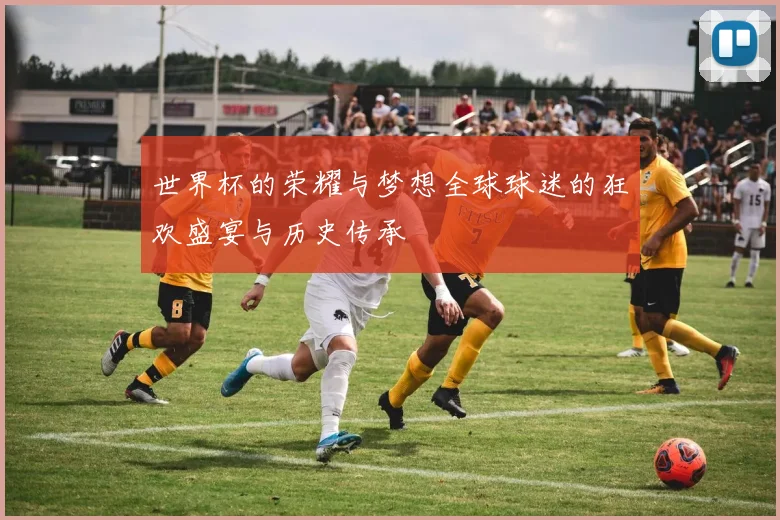 世界杯的荣耀与梦想全球球迷的狂欢盛宴与历史传承