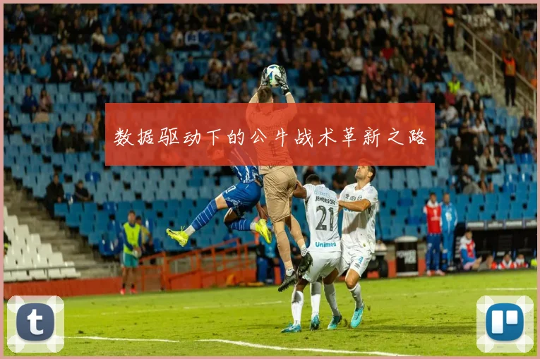 数据驱动下的公牛战术革新之路